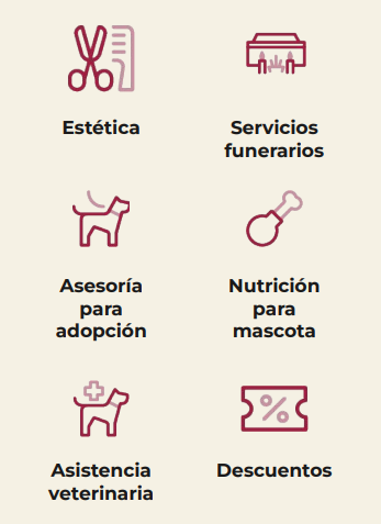 Asistencia veterinaria telefónica y presencial