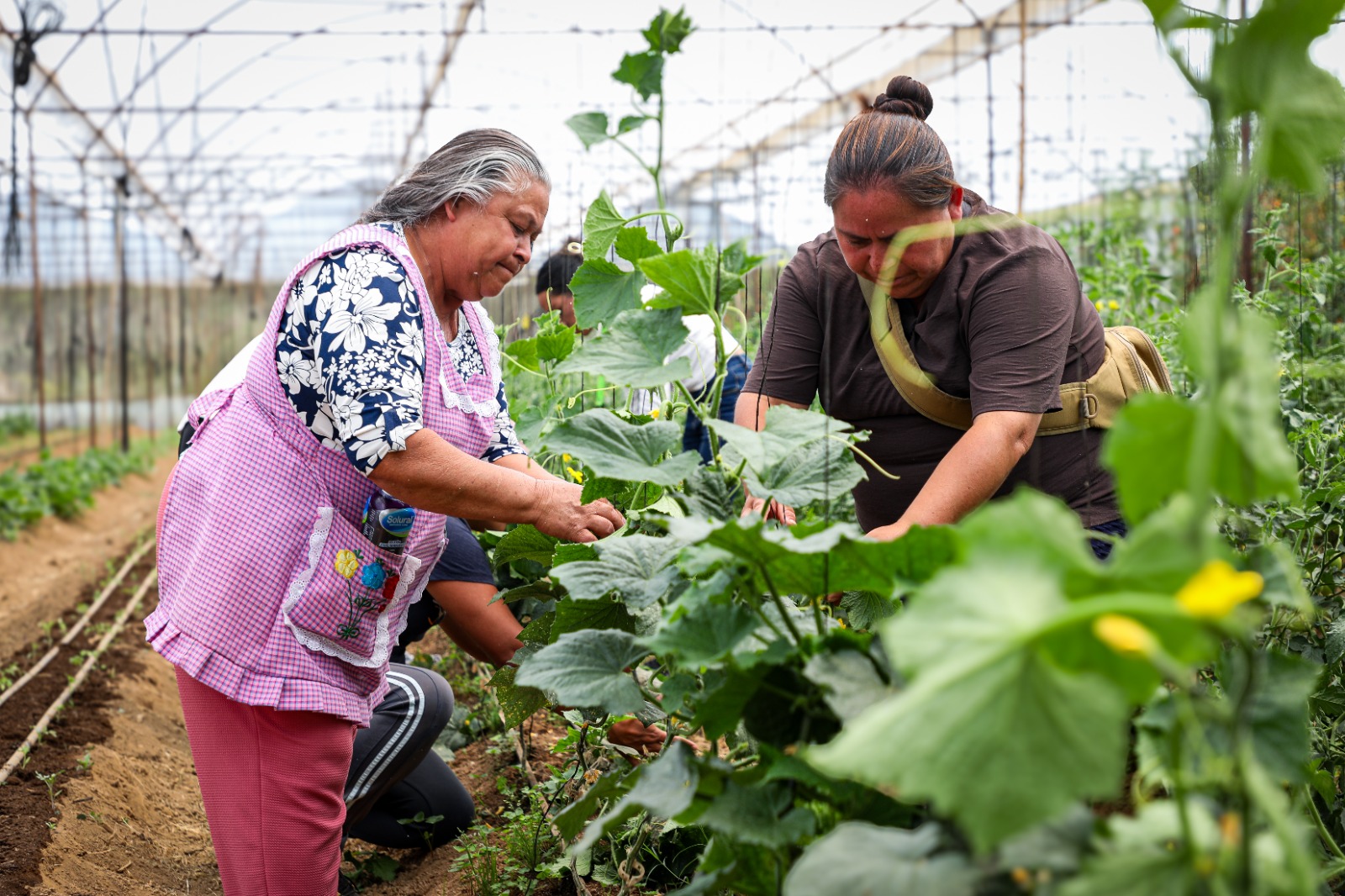 Asistencia Privada del EdoMéx promueve el empoderamiento femenino y la alimentación saludable