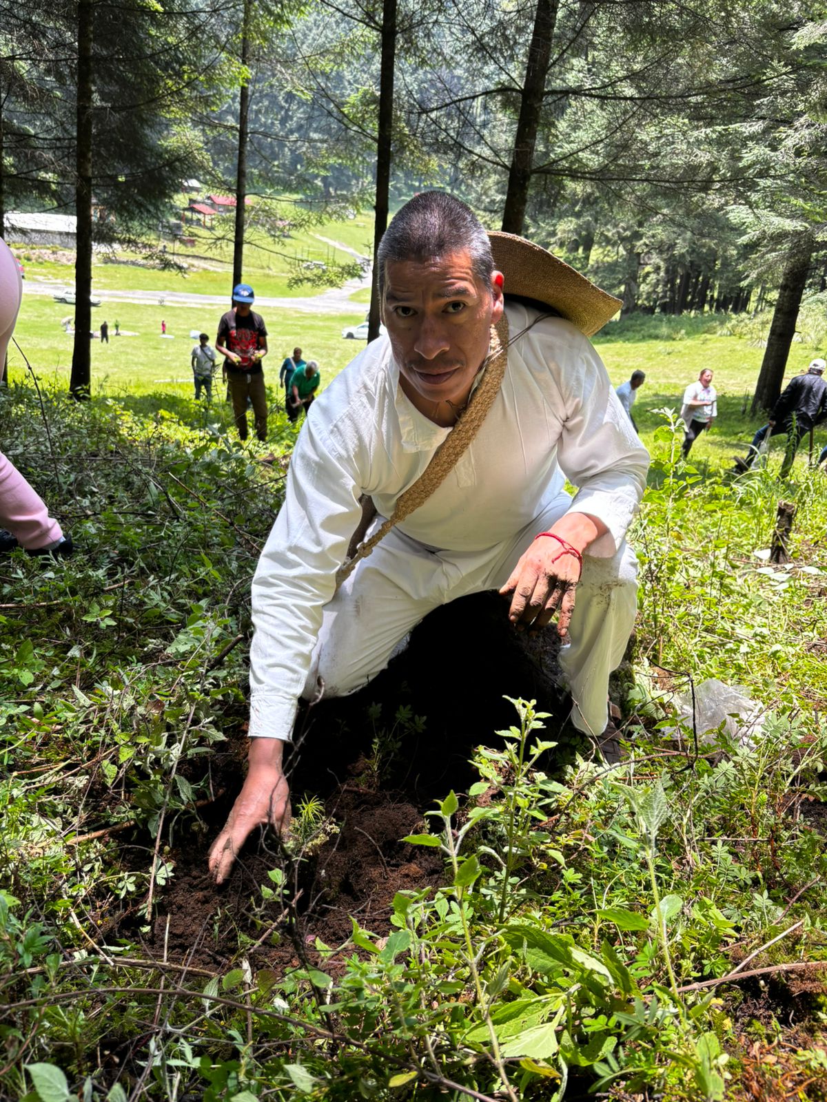 Suman esfuerzos Gobierno del EdoMéx y comunidades indígenas para restaurar los bosques de Ocoyoacac