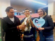 La Asociación Pocas Pulgas, certificada ante la Junta de Asistencia Privada del Estado de México (JAPEM), impulsa una campaña de adopción de perros y gatos. 